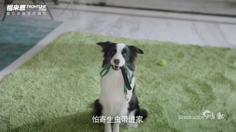 福來恩-寵物驅(qū)蟲廣告片
